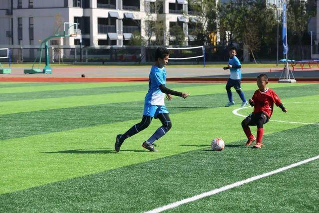 11连胜！广东冲至积分榜第二 三场失利仅输3分